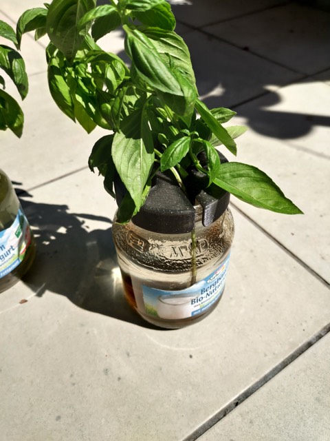Jam Jar Hydroponic Planter (4)